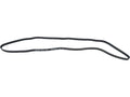 Multi Rib Belt for MX5 Miata (XQ796DN)
