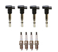 Set of 4 Denso Ignition Coils for (Double Platinum, Gap 0.044)