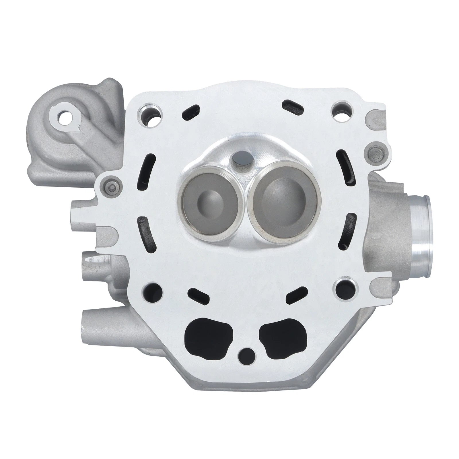 Engine Rebuild Kit Cylinder Head for Honda TRX420 (2009–2024)