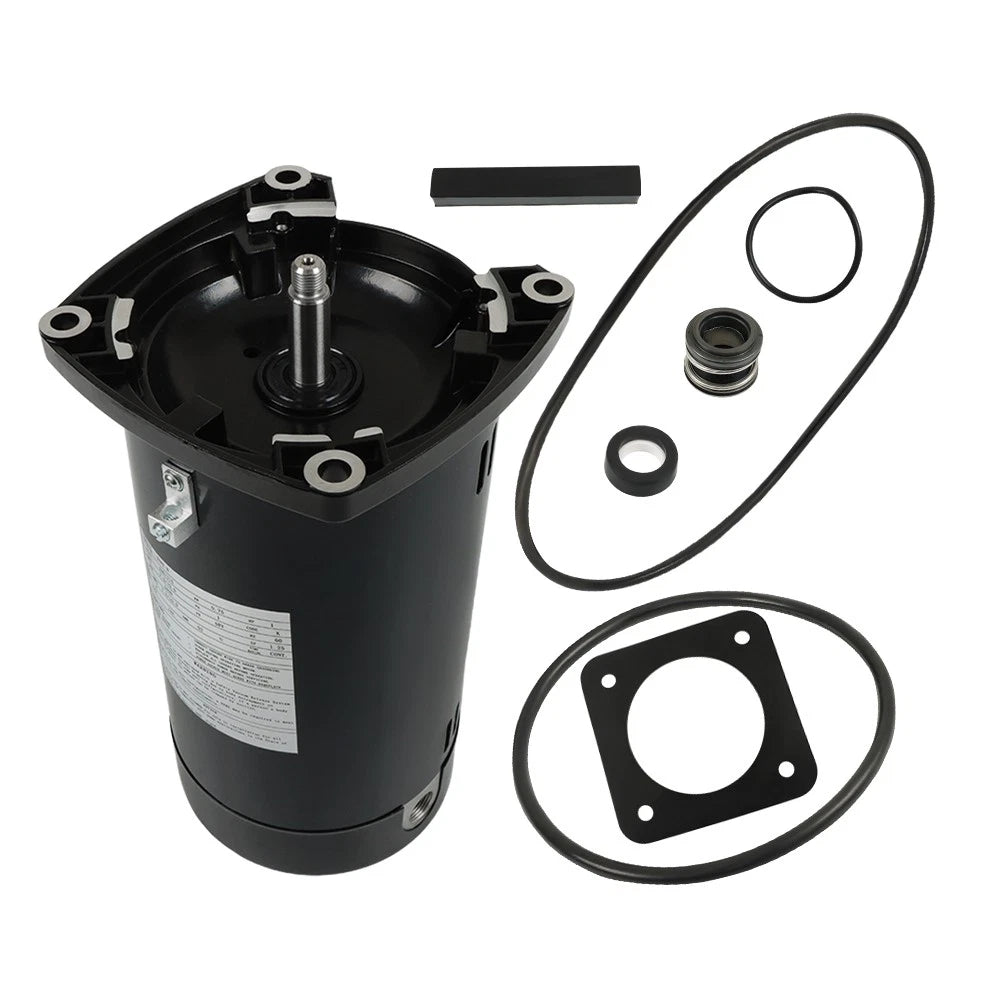 Pool Pump Motor for Square Flange (115/230V)