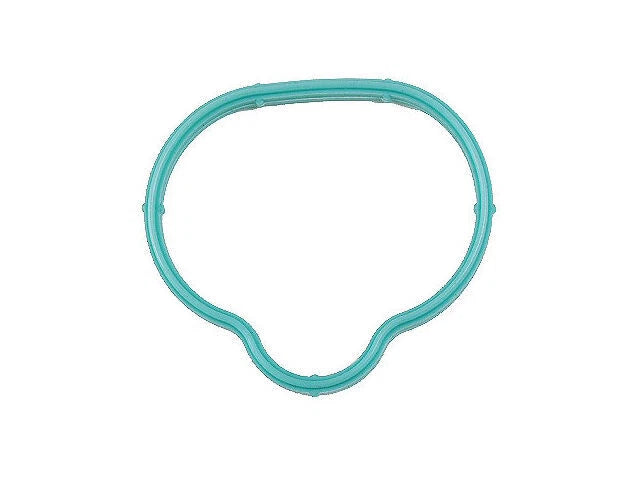 Intake Manifold Gasket for Jaguar Vanden Plas (1998–2003) TP226YC