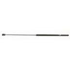 Hood Lift Supports for VW Audi (Driver or Passenger Side)