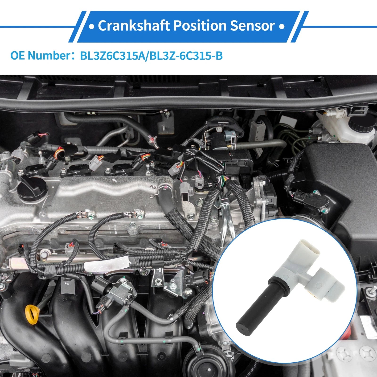 Crankshaft Position Sensor for Ford Explorer Sport (2013–2019) No.BL3Z6C315A