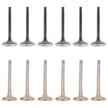 Set of 12 Intake & Exhaust Valves Kit for Audi A4 A6 Cabriolet 2.8L V6 (1996–2005)