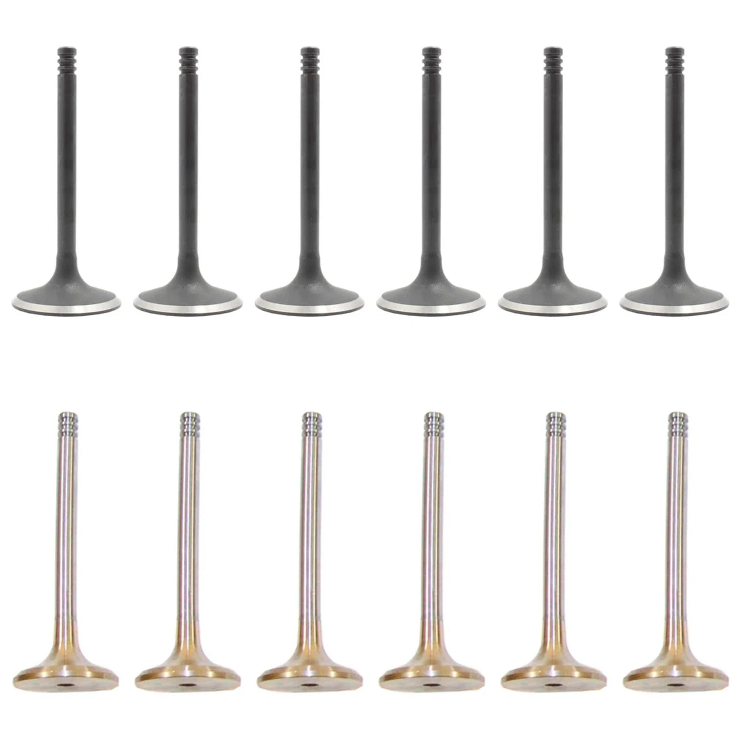 Set of 12 Intake & Exhaust Valves Kit for Audi A4 A6 Cabriolet 2.8L V6 (1996–2005)