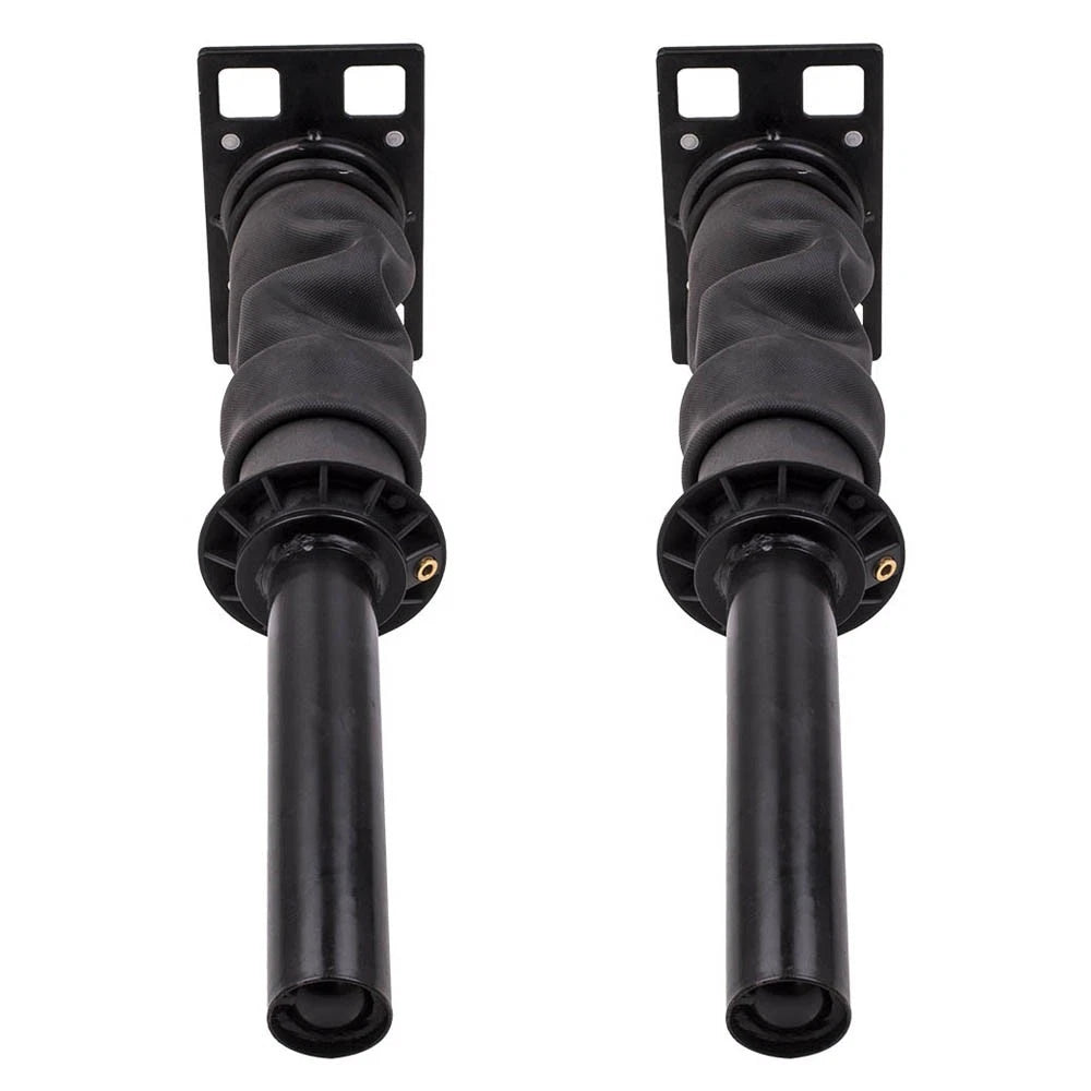 2X Cab Shock Absorber Strut for International Prostar (2008–Present) 3688695C91