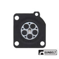 Metering Diaphragm Assembly for B1A015006
