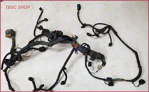 Engine Management Wiring Harness for Jaguar S-Type V6 3.0 (2000–2002)
