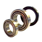 Wheel Bearing Kit for Massey Ferguson 250 265 275 290 298 575 590 595 (1970–2023)