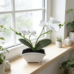 Plastic Phalaenopsis Orchid for Wedding Home Tabletop