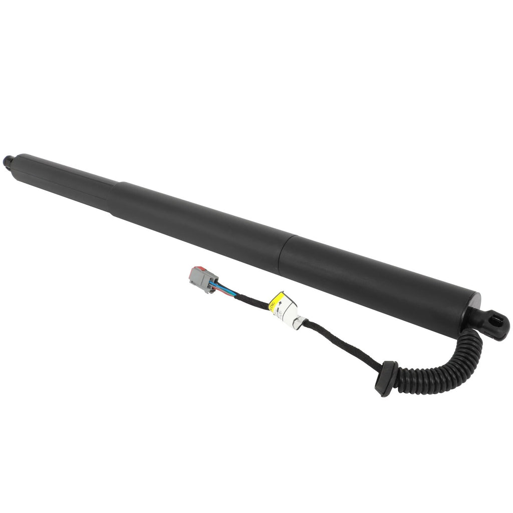 Liftgate Lift Support Shock Strut for Jeep Cherokee (2020)