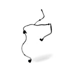 Carbon Canister Solenoid Valve for Ford Focus (2019)