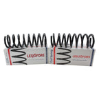 Front Coil Spring Kit for Buick (4112149)