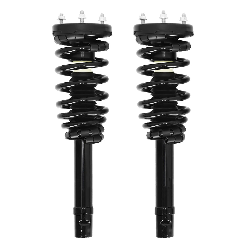 Set of 2 Front Shock Struts Assembly for Hyundai Azera Sonata (2006–2011) 172281
