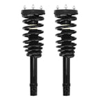 Set of 2 Front Shock Struts Assembly for Hyundai Azera Sonata (2006–2011) 172281