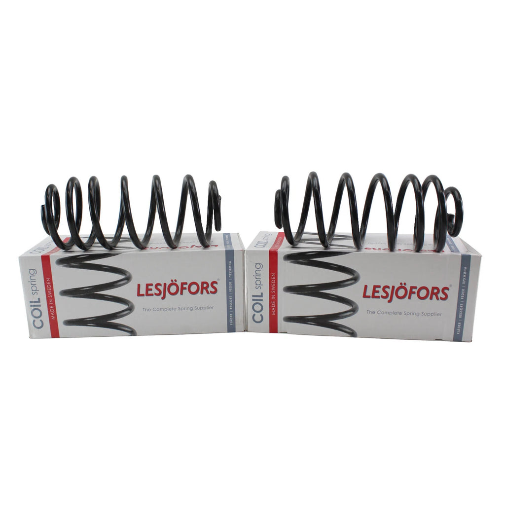 Rear Coil Spring Kit for Chevrolet Pontiac Saturn (4412158)