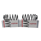Rear Coil Spring Kit for Chevrolet Pontiac Saturn (4412158)
