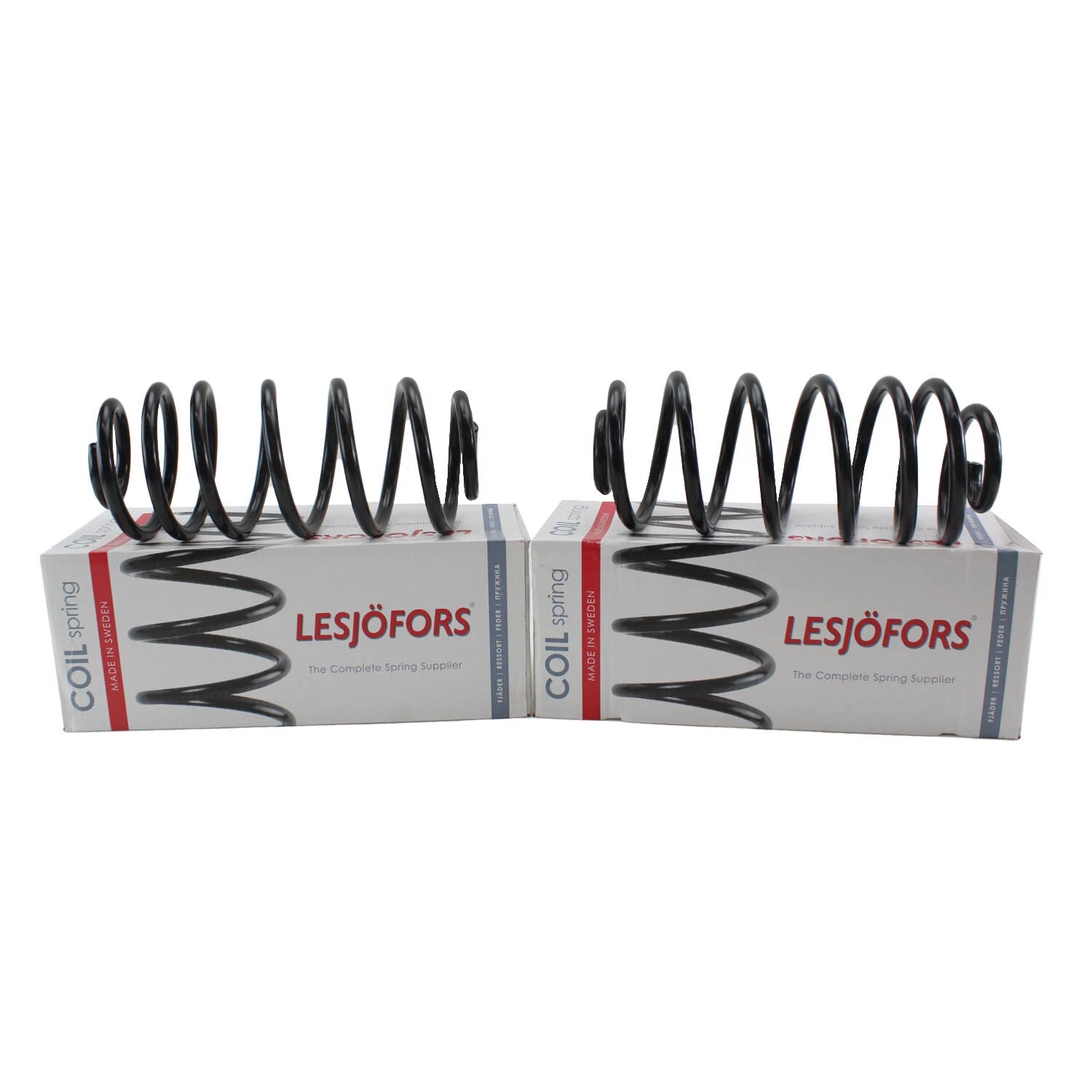 Rear Coil Spring Kit for Chevrolet Pontiac Saturn (4412158)
