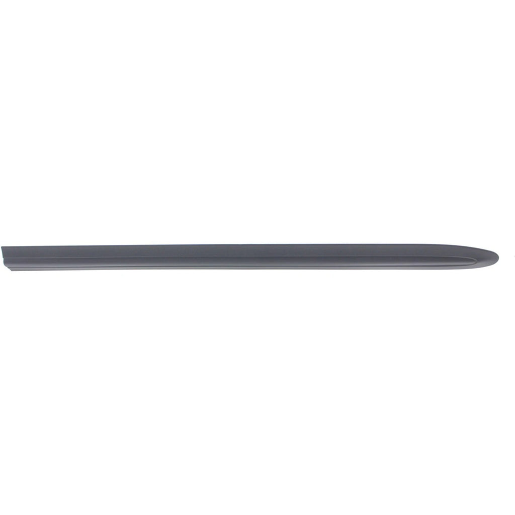 Door Molding and Beltlines for Town and Country (LH)