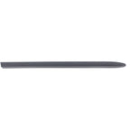 Door Molding and Beltlines for Town and Country (LH)
