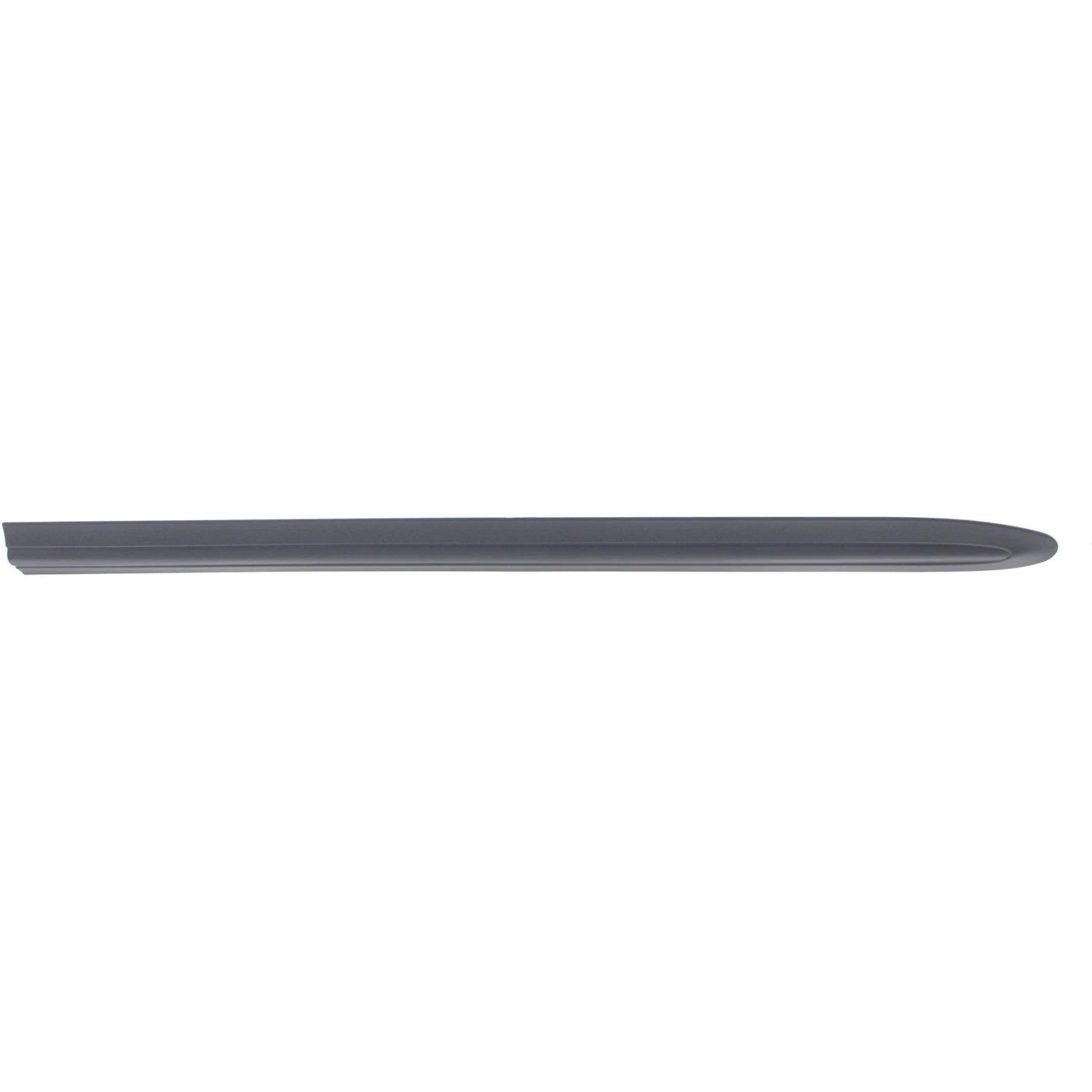 Door Molding and Beltlines for Town and Country (LH)