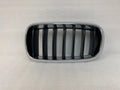 Left Radiator Grille Chrome for BMW X6 (2015–2019) & X5 (2014–2018) 7294485