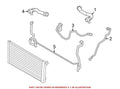 Upper Radiator Coolant Hose for BMW (17128513603)