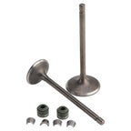 Valve Set Inlet & Exhaust for CG250 ATV/Quad/Dirt Bike (Chinese Models)