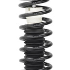 Rear Complete Strut Coil Spring for Mitsubishi Lancer (2008–2010) DE/ES 172399