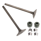 Valve Set Inlet & Exhaust for CG200 GS200 Dirt Bike ATV Quad