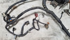 Engine Harness Main with Fuse Box for Ford Thunderbird Cougar (1992)