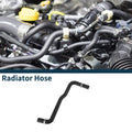 Radiator Hose for Hyundai Azera (2006–2011) No. 254143L100