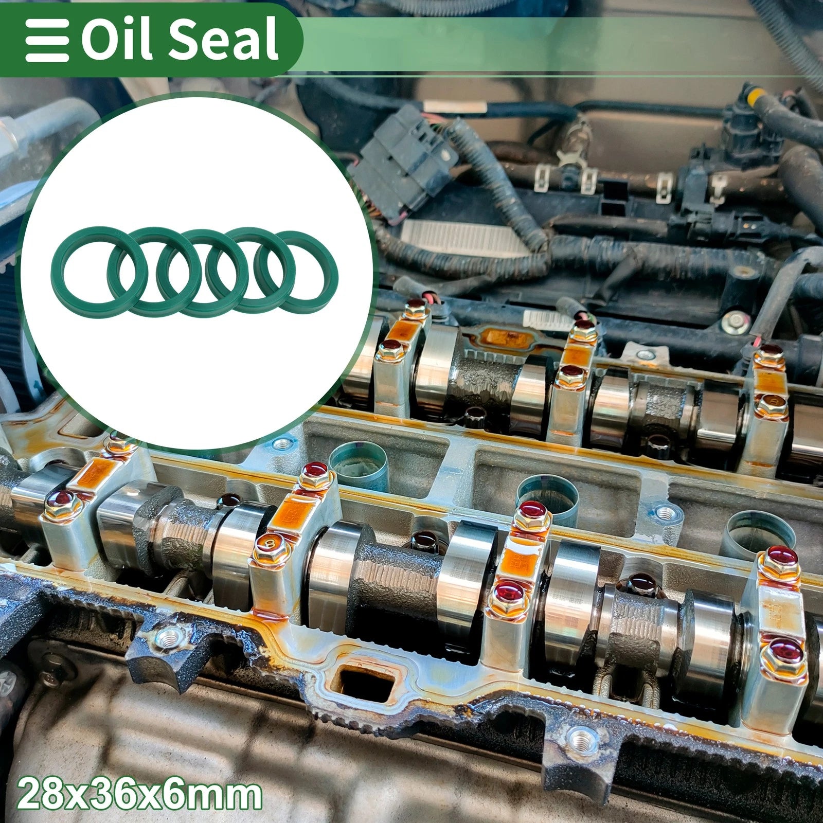 Set of 5 Oil Seal Rotary Shaft Seal 28x36x6mm for Various Models 