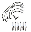 Denso Wire Set & 6 Platinum TT Spark Plugs for Dodge 3.9 V6