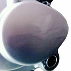 250cc Air Cooled Engine for Chinese Motorbikes (Zongshen)