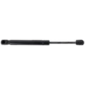 Liftgate Lift Supports for Dodge (Challenger, Charger)