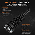 2X Rear Quick Complete Struts Shocks Springs for Nissan Maxima (1995–1999)