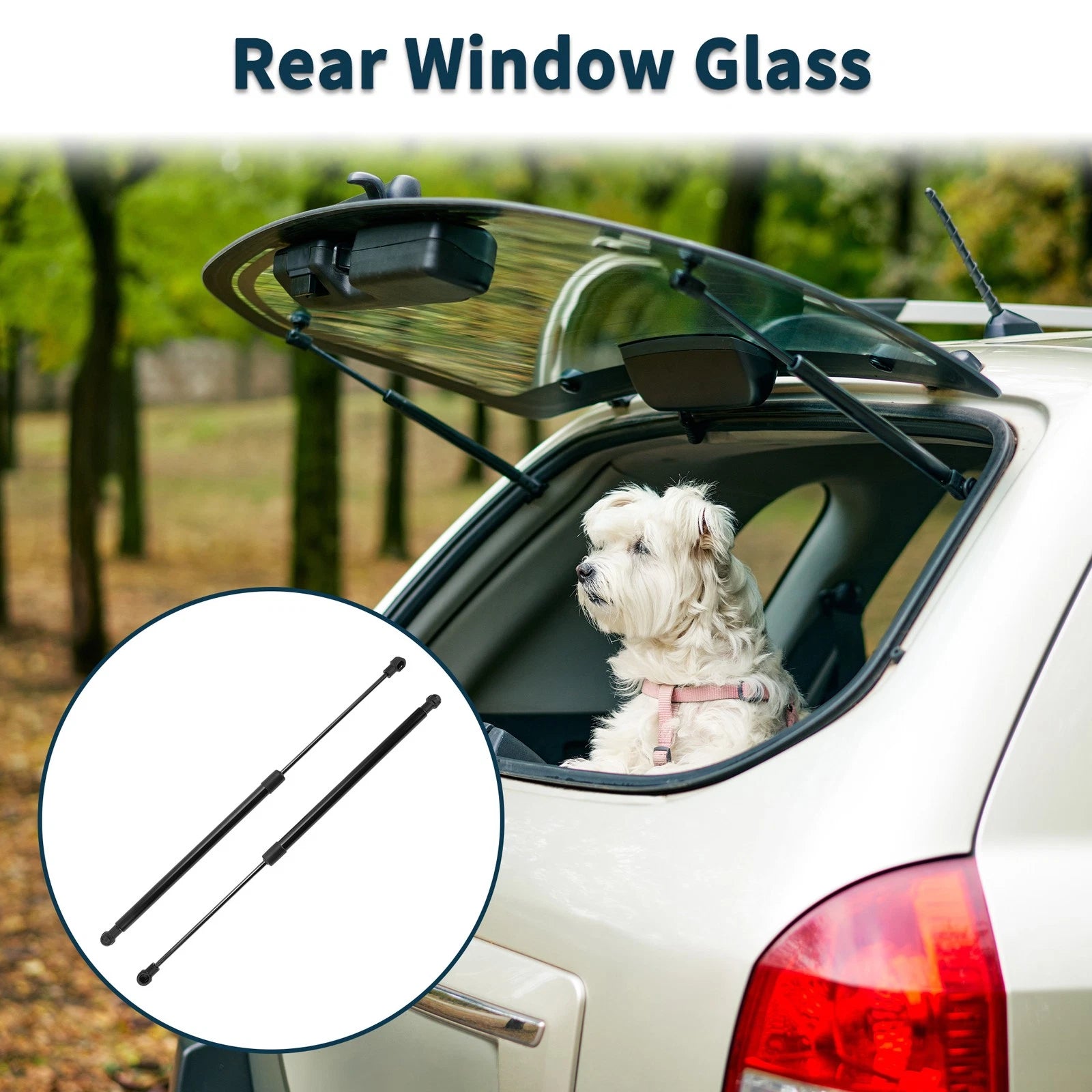 Rear Window Glass Lift Supports Struts for Toyota Land Cruiser Prado (2003–2009)