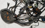 Engine Bay ECU ABS Harness LNF3120BC for Jaguar XJ8 VDP (2000–2003)