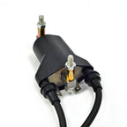 Ignition Coil & Spark Plugs AC CDI Ignitor for EZGO Golf Cart (1991–2002)