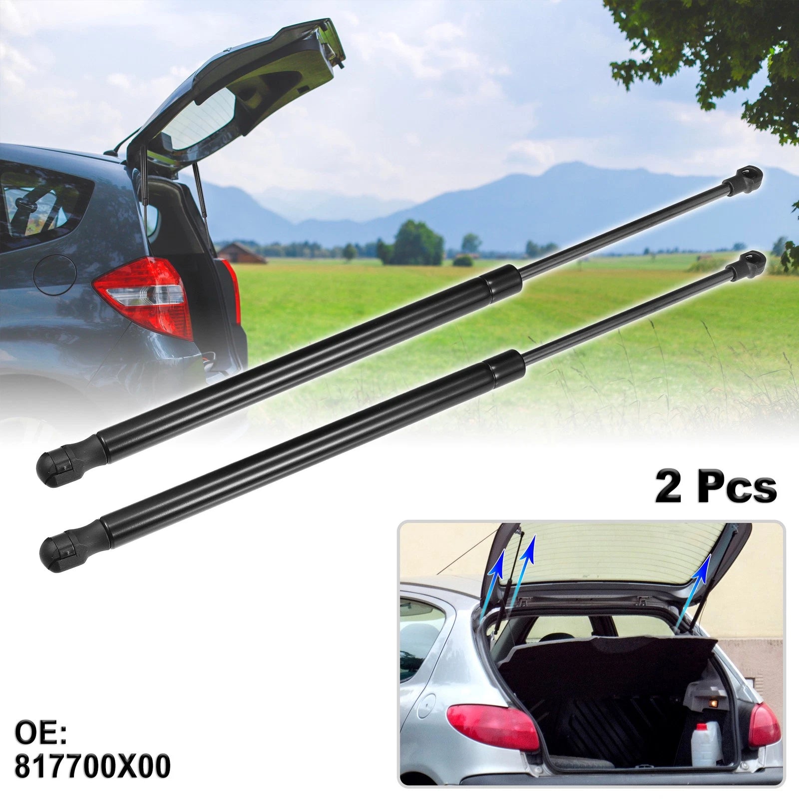 2 Pcs Rear Hatch Lift Supports Struts for Hyundai I10 (2007–2013)