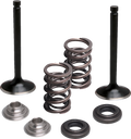 Valve Kit for Yamaha M80-83060 (Exhaust)