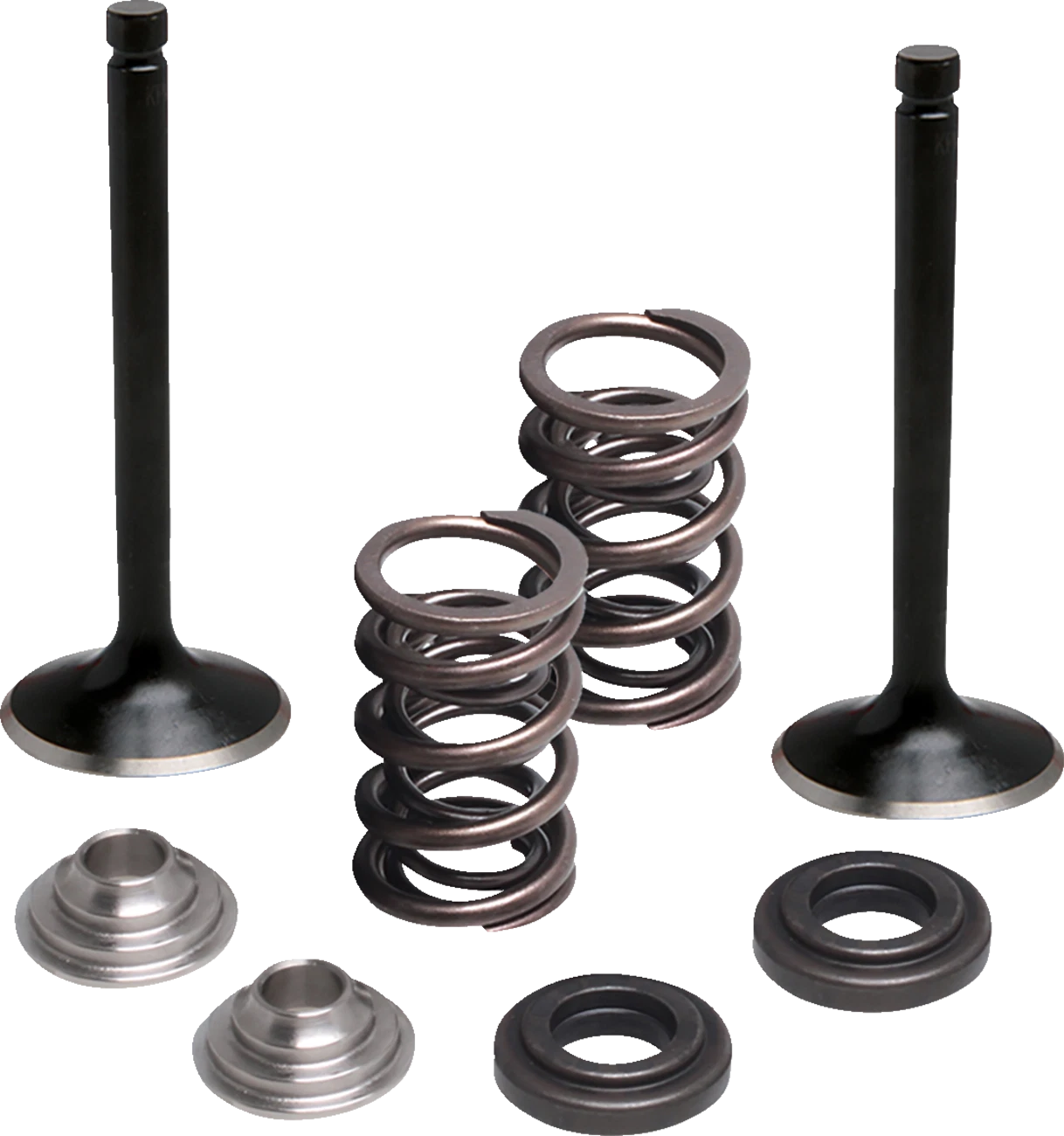 Valve Kit for Yamaha M80-83060 (Exhaust)