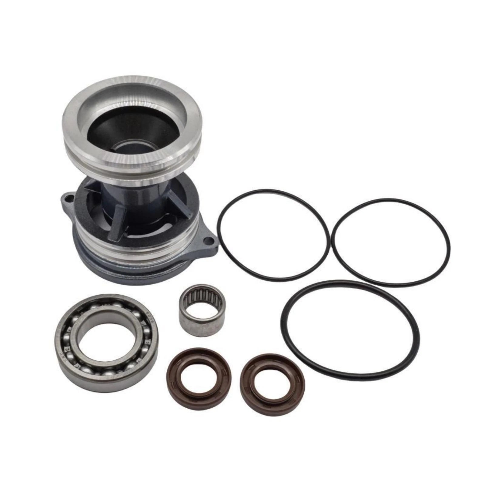 Lower Casing Cap Assy for Yamaha Outboard Parsun 25 30HP (61N-45361-01-4D)
