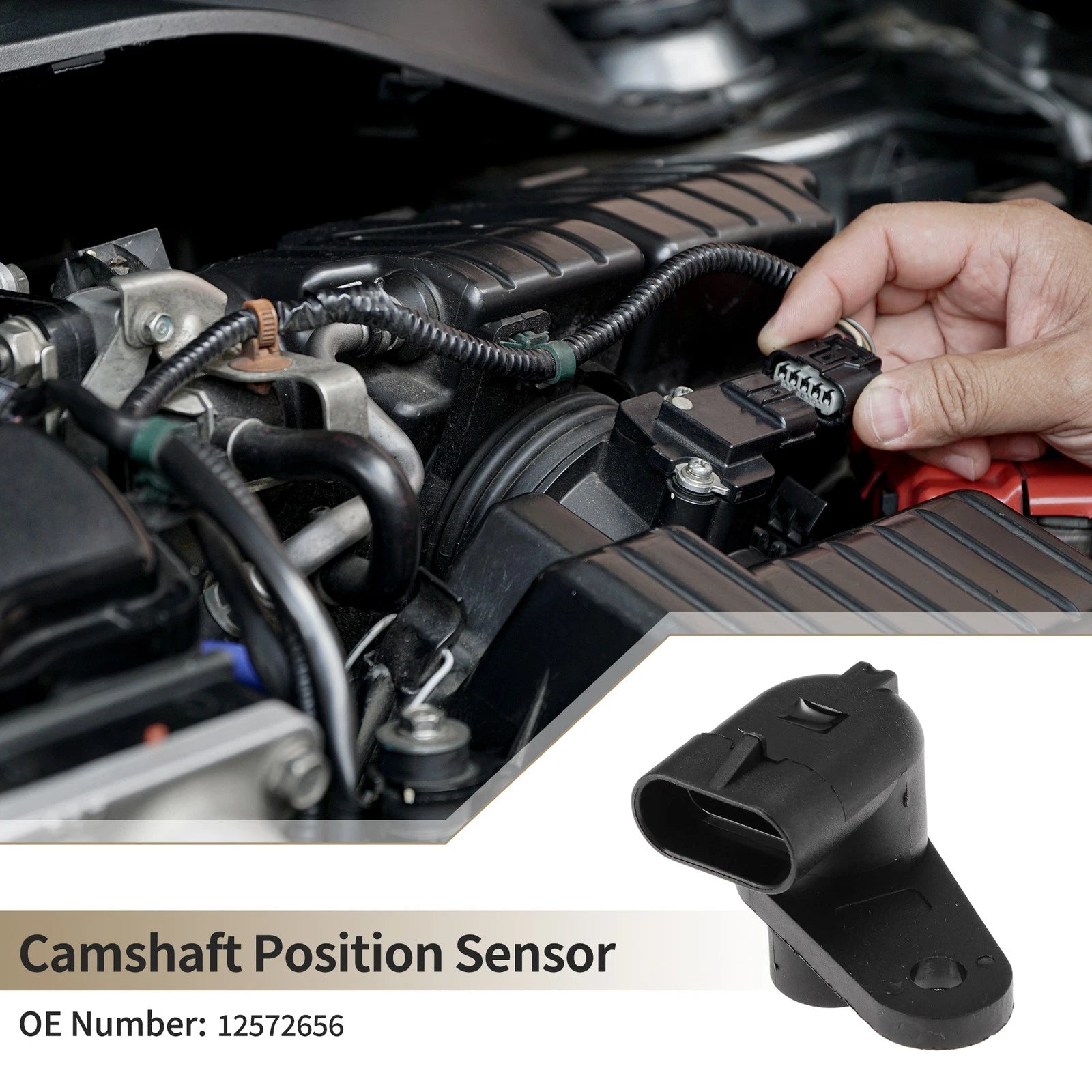 Camshaft Position Sensor for Chevrolet Silverado 2500 (2001) - 12572656