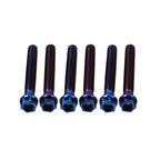 6pcs M6x50mm Titanium Torx Head Flange Bolts for Bike Motorcycle