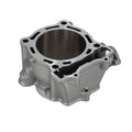 Motor Cylinder for Yamaha YFZ450 (2004–2009, 2012–2013) 5TA113111200, 5TA113110000