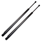 2 Liftgate Lift Supports for Chrysler Town & Country, Dodge Grand Caravan
