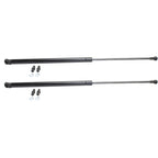 Set of 2 Hood Lift Supports for Make Model