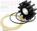 Minor Repair Kit for Sherwood Pump G903, G908, G11 (09000K)